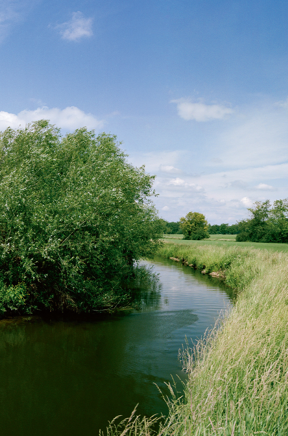将责任感融入核心价值观
