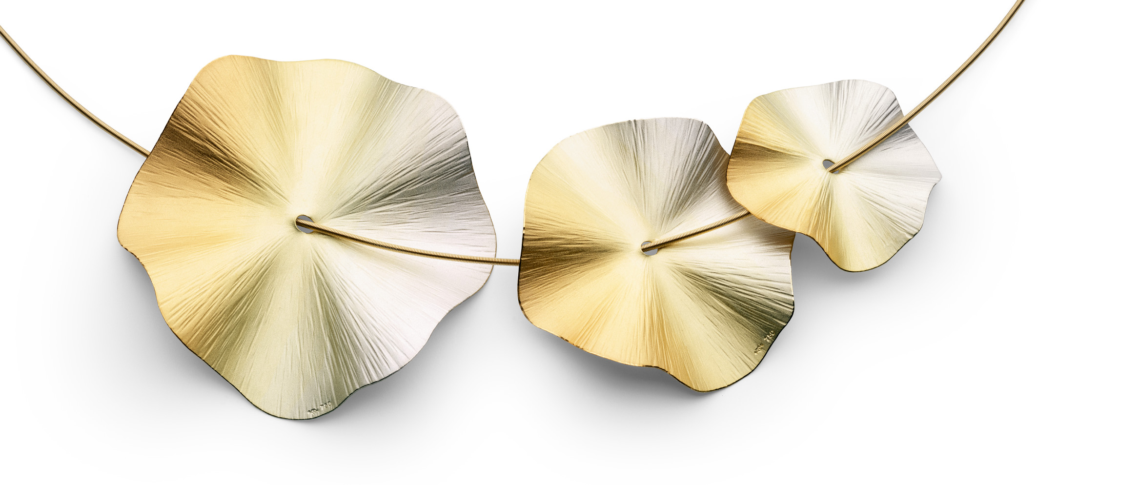 Hoe we werden wat we zijn