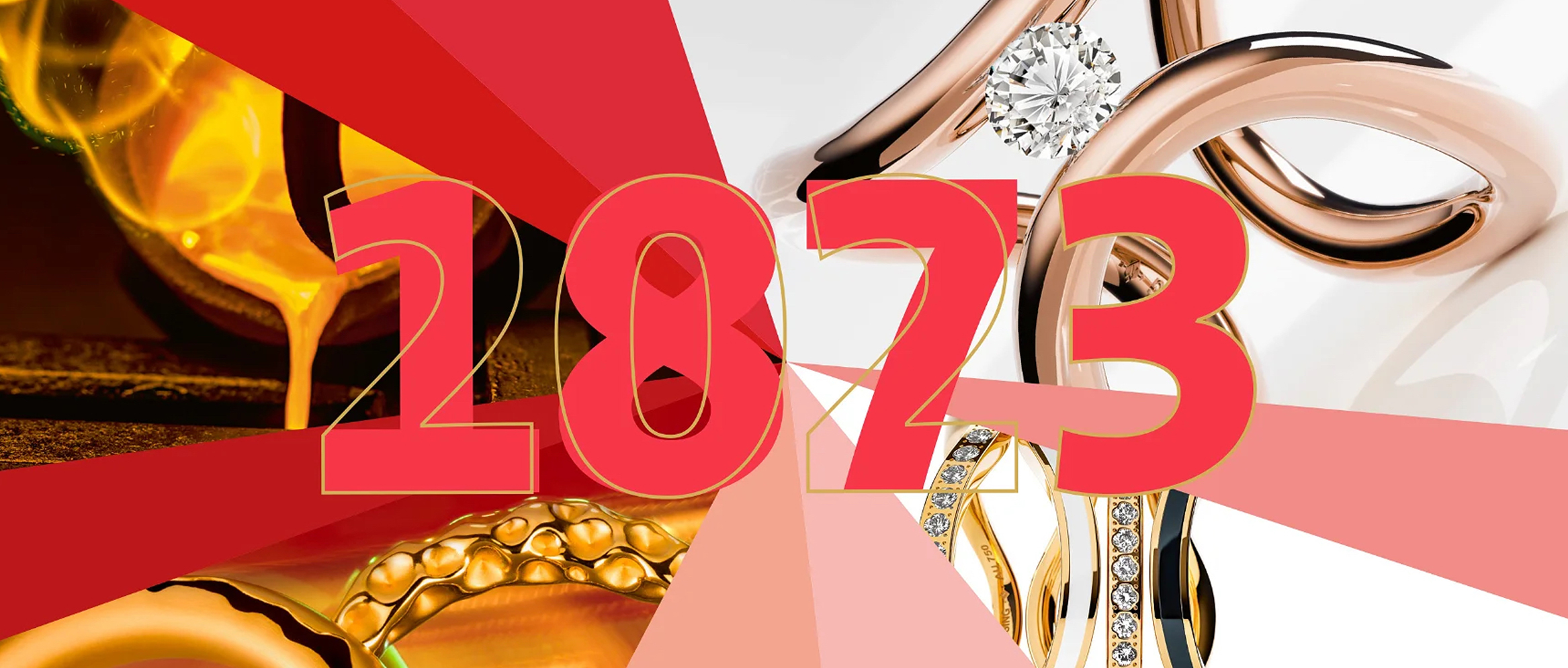 Hoe we werden wat we zijn