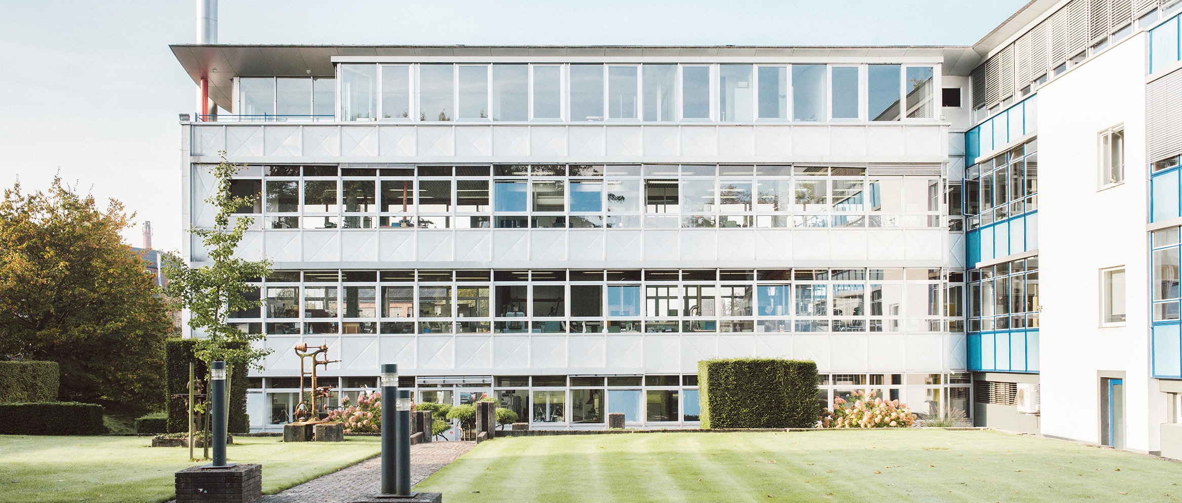 Hoe we werden wat we zijn