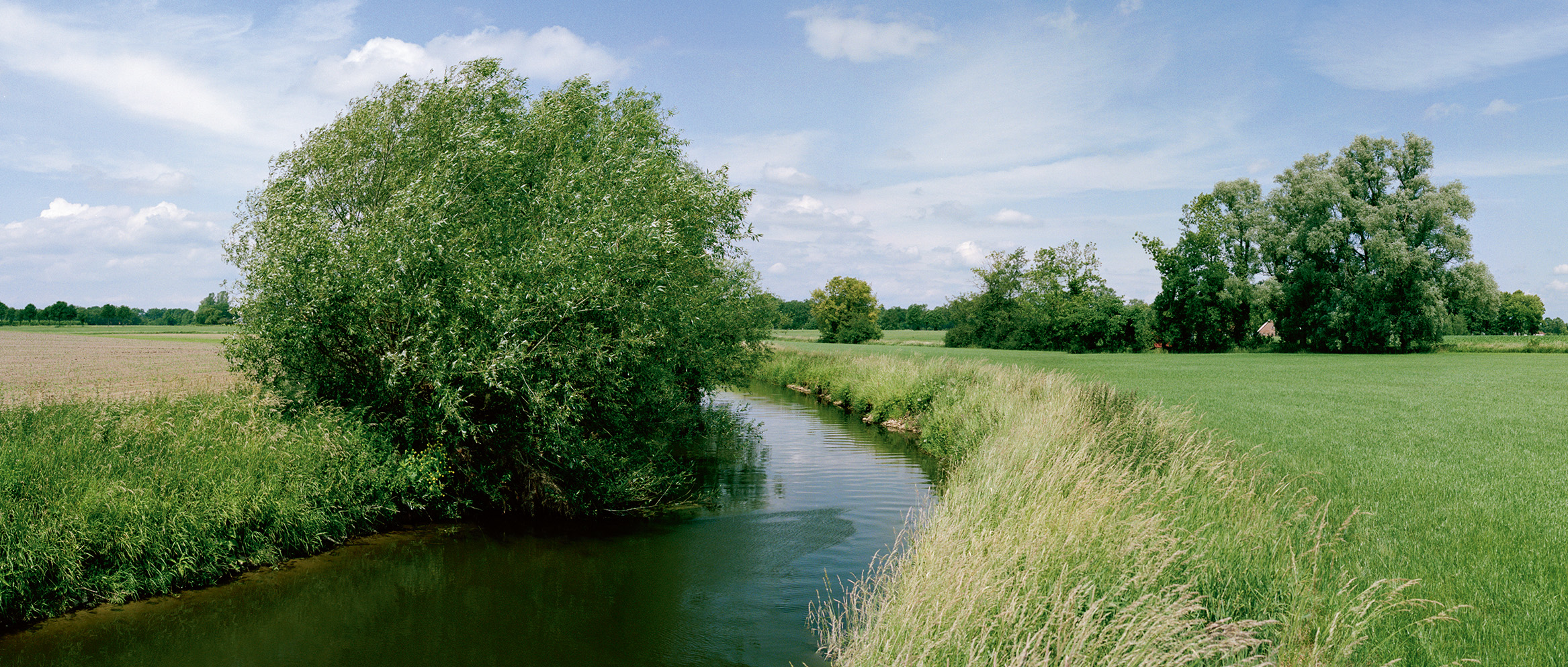Hoe we werden wat we zijn