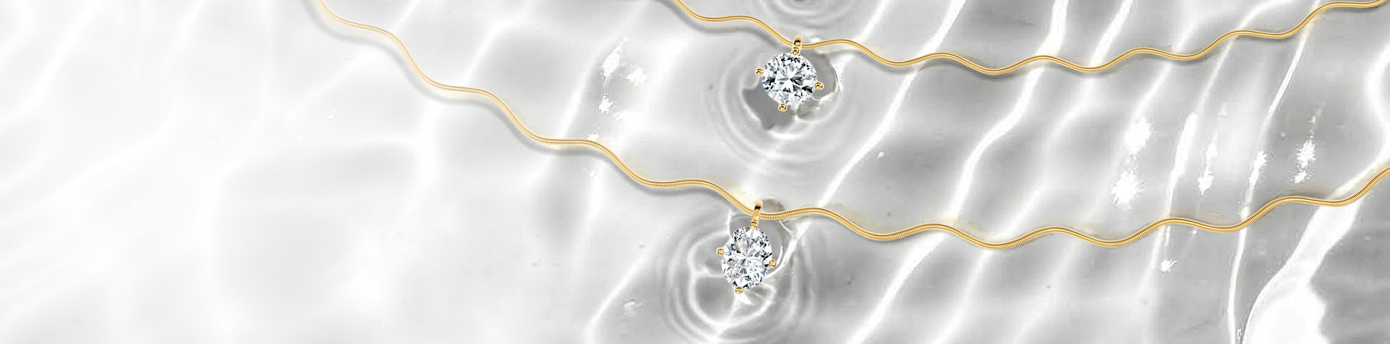 Anniversary Exhibition