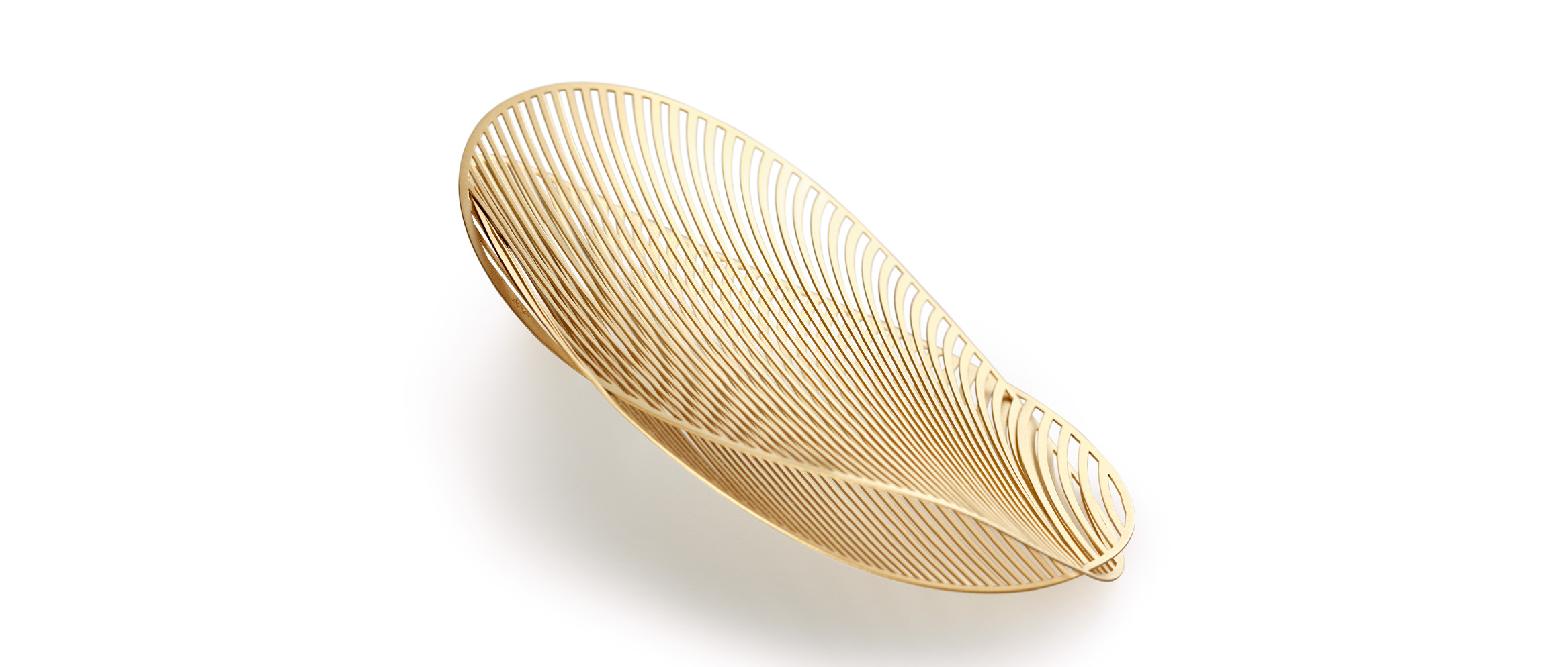 Hoe we werden wat we zijn