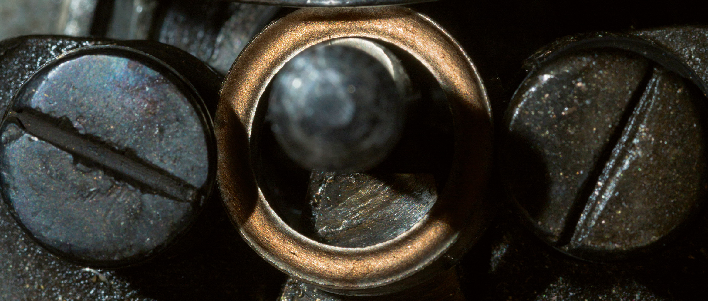 Hoe we werden wat we zijn