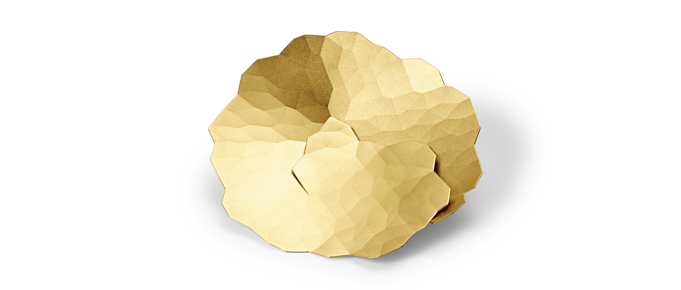 Hoe we werden wat we zijn