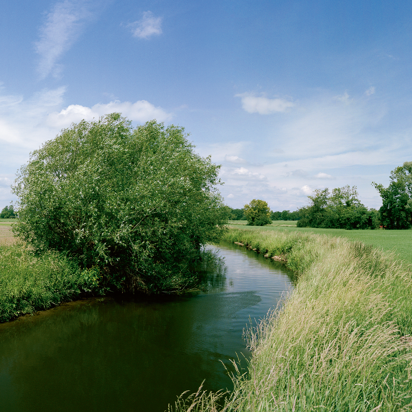 RESPONSIBLE CONDUCT AS A CORE VALUE